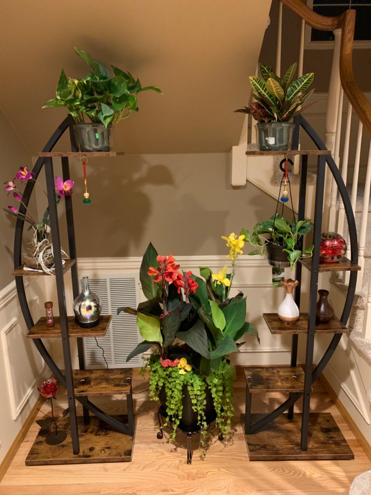 PREVENTA - Mueble Estante Curvo Metal Para Plantas - Spacemarket