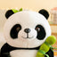 Peluche Oso Osito Panda Bambú Kawaii Con Estuche