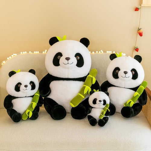 Peluche Oso Osito Panda Bambú Kawaii Con Estuche