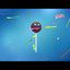Caja X 10 Dulces Paleta Payaso Marshmallow Chocolate