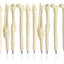 Pack X 12 Lapiz Pasta Hueso Kineseologo, Medico, Enfermera - Spacemarket