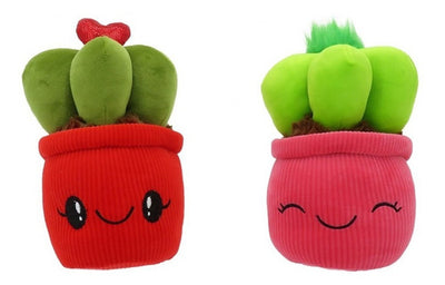 Peluches Cactus Felpa 25 Cm Para Parejas - Spacemarket