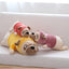 Peluche Perro Pug Con Traje Grande 50 Cm Kawaii - Spacemarket