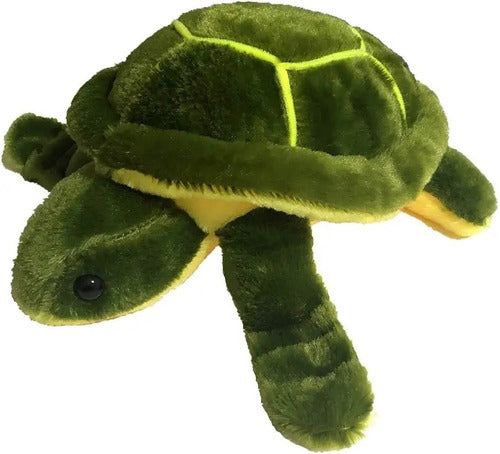 Peluche De Tortuga Felpa Kawaii 28 Cm - Spacemarket