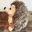 Peluche Erizo Kawaii 20 Cm - Spacemarket